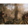 PlayStation Hell Let Loose: Vietnam - 1529956 - zdjęcie 2